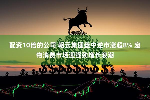 配资10倍的公司 朝云集团盘中逆市涨超8% 宠物消费市场迎强劲增长浪潮