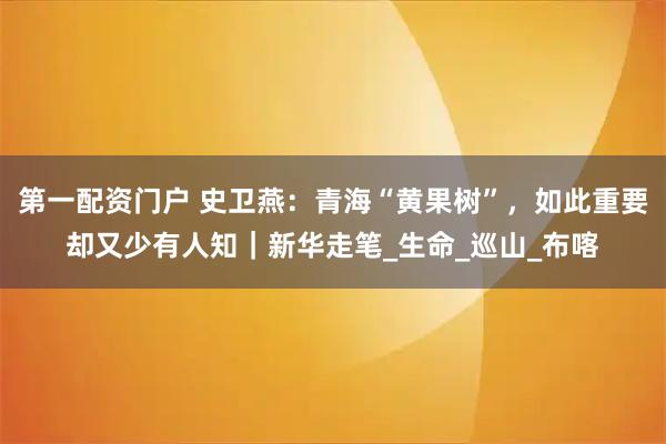 第一配资门户 史卫燕：青海“黄果树”，如此重要却又少有人知｜新华走笔_生命_巡山_布喀
