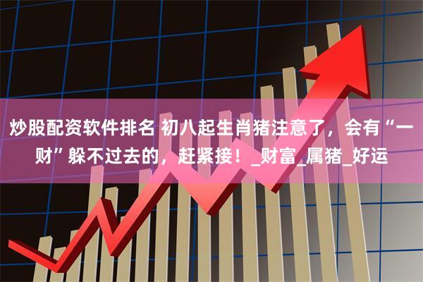 炒股配资软件排名 初八起生肖猪注意了，会有“一财”躲不过去的，赶紧接！_财富_属猪_好运