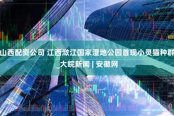 山西配资公司 江西潋江国家湿地公园首现小灵猫种群_大皖新闻 | 安徽网