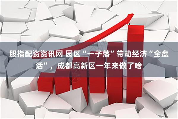 股指配资资讯网 园区“一子落”带动经济“全盘活”，成都高新区一年来做了啥